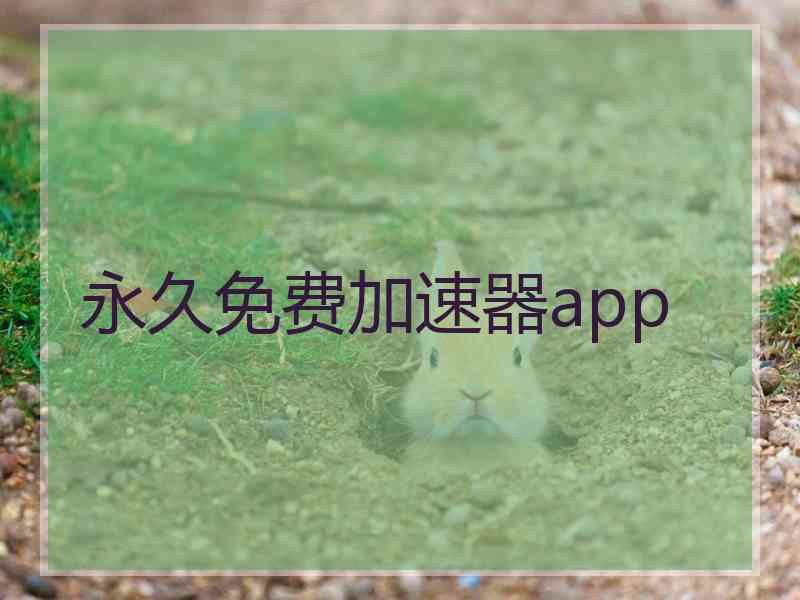 永久免费加速器app