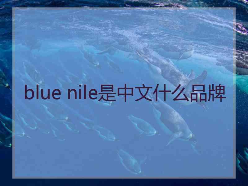 blue nile是中文什么品牌