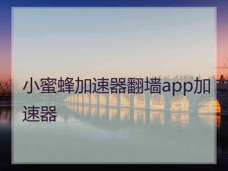 小蜜蜂加速器翻墙app加速器