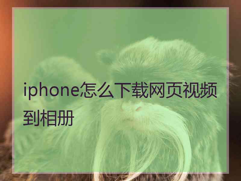 iphone怎么下载网页视频到相册