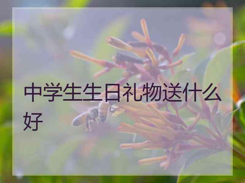 中学生生日礼物送什么好