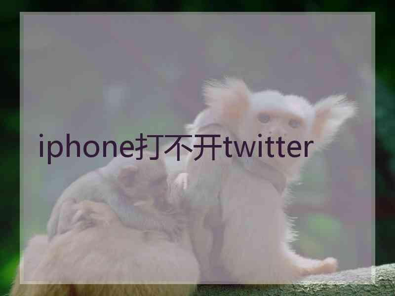 iphone打不开twitter