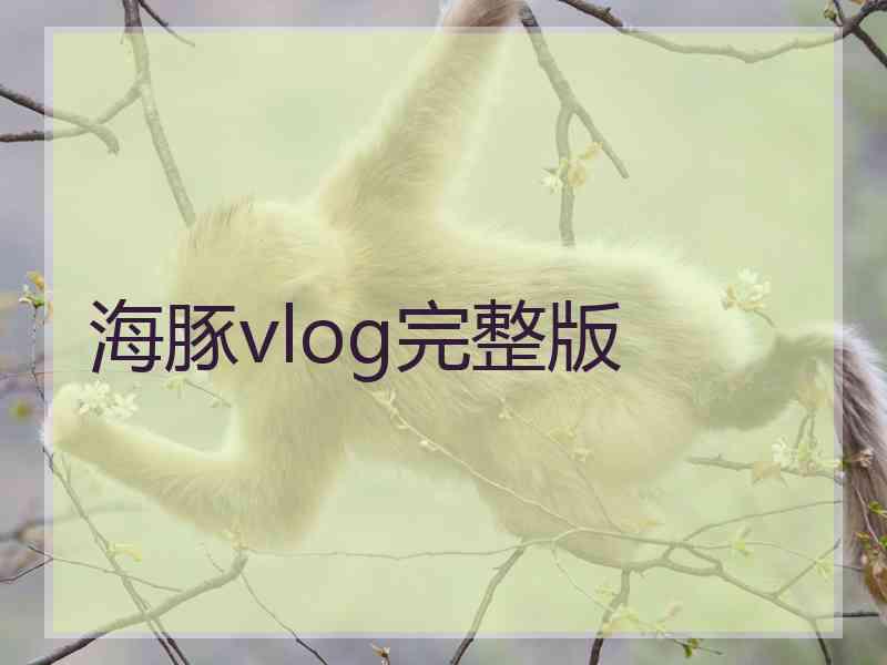 海豚vlog完整版