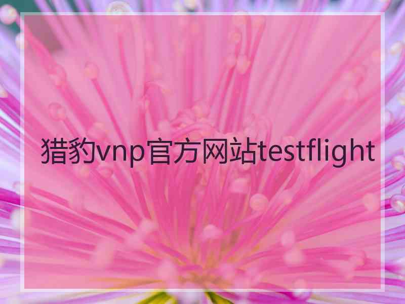 猎豹vnp官方网站testflight