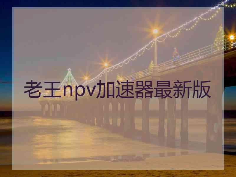 老王npv加速器最新版