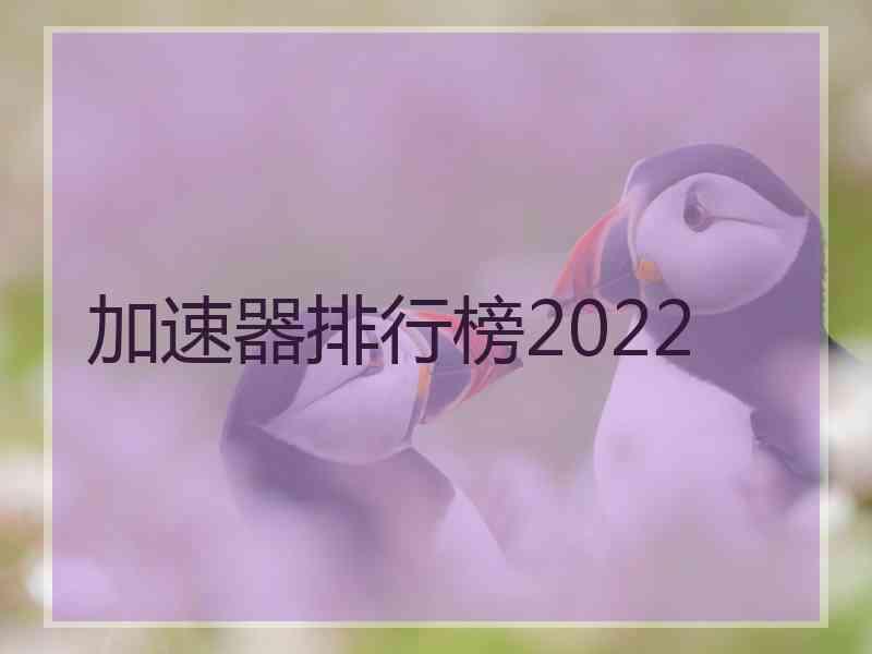 加速器排行榜2022