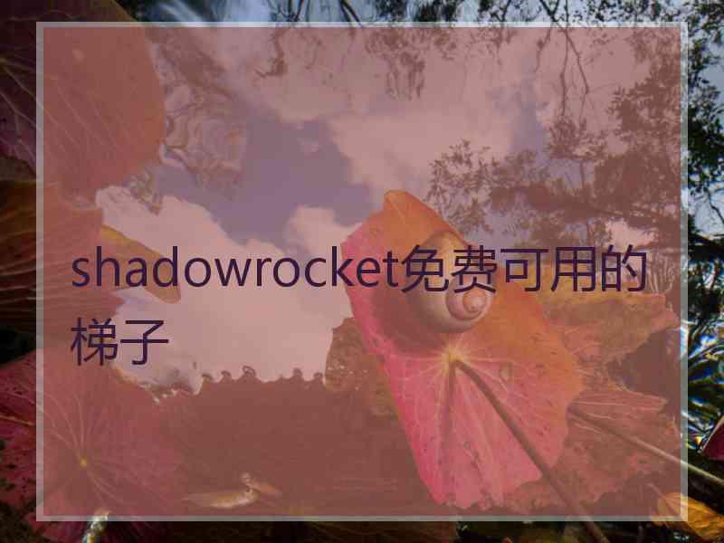 shadowrocket免费可用的梯子