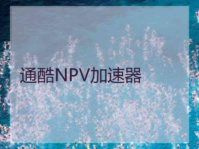 通酷NPV加速器