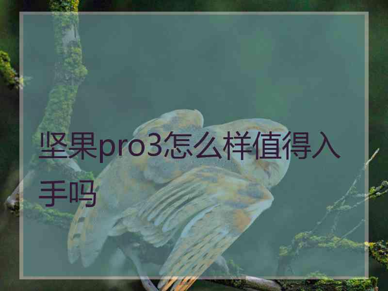 坚果pro3怎么样值得入手吗