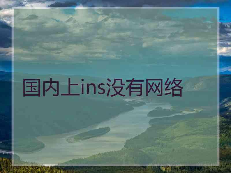 国内上ins没有网络