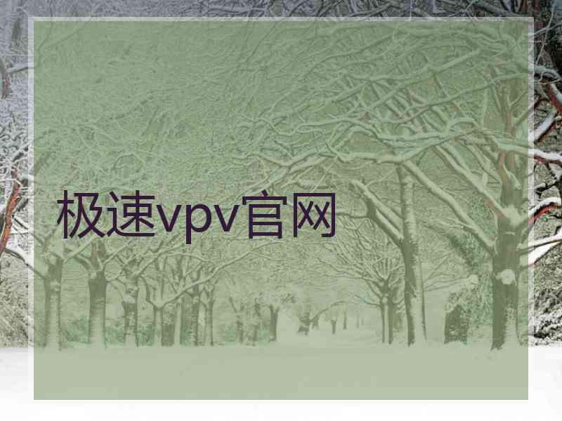 极速vpv官网