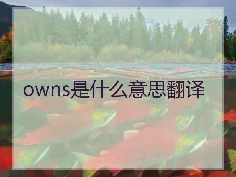 owns是什么意思翻译