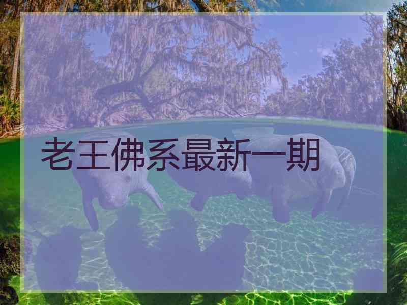 老王佛系最新一期