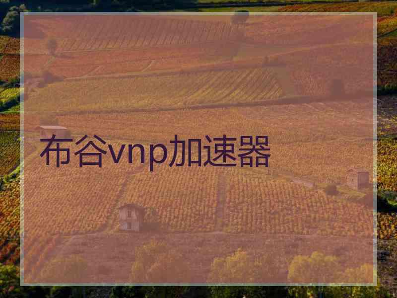 布谷vnp加速器