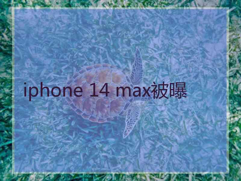 iphone 14 max被曝