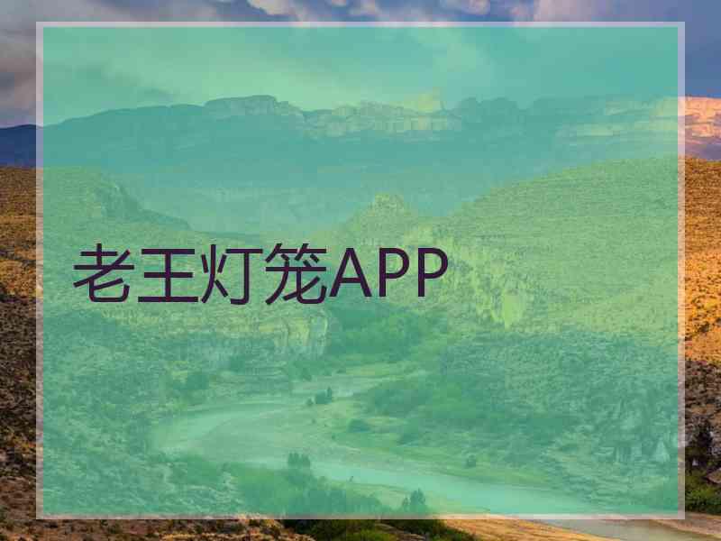 老王灯笼APP