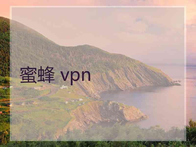 蜜蜂 vpn