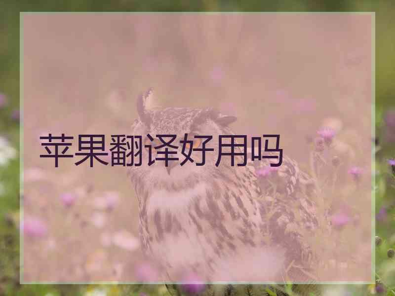 苹果翻译好用吗