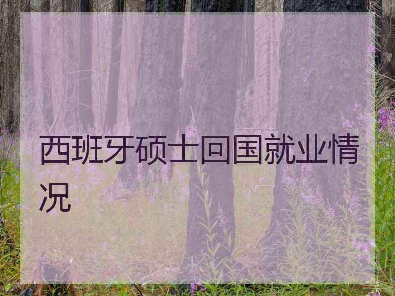 西班牙硕士回国就业情况