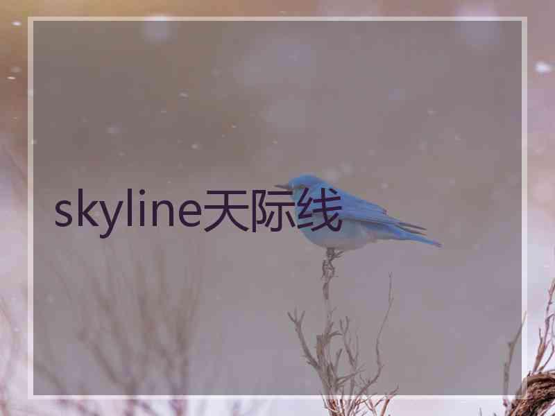 skyline天际线