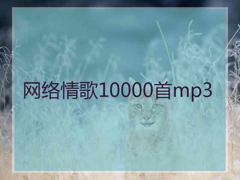 网络情歌10000首mp3