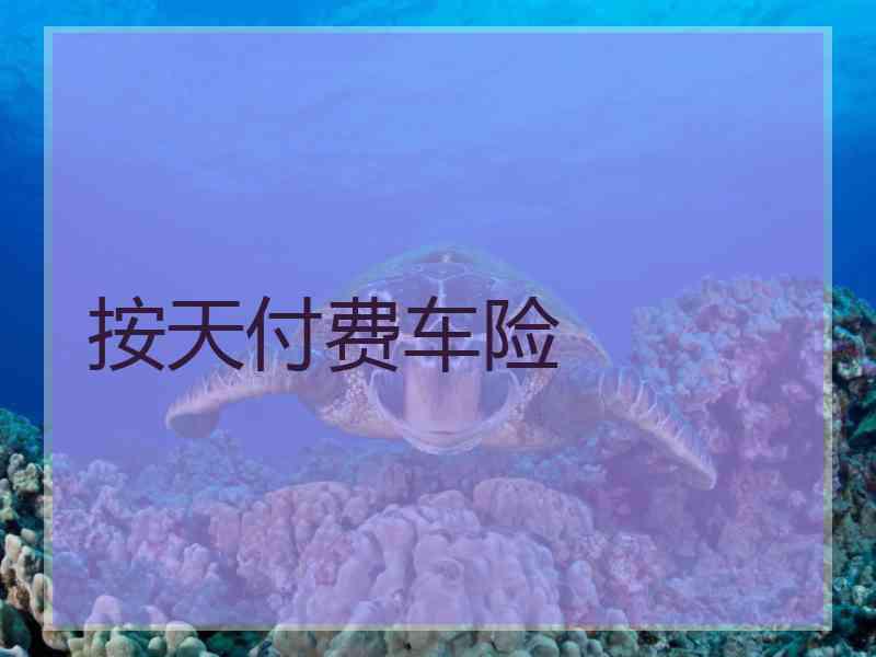 按天付费车险