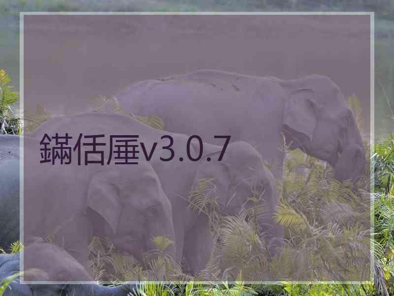 鏋佸厜v3.0.7