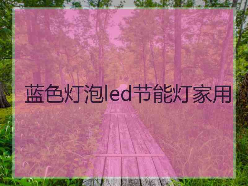 蓝色灯泡led节能灯家用