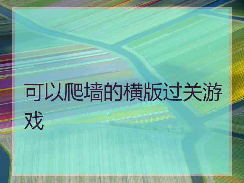 可以爬墙的横版过关游戏