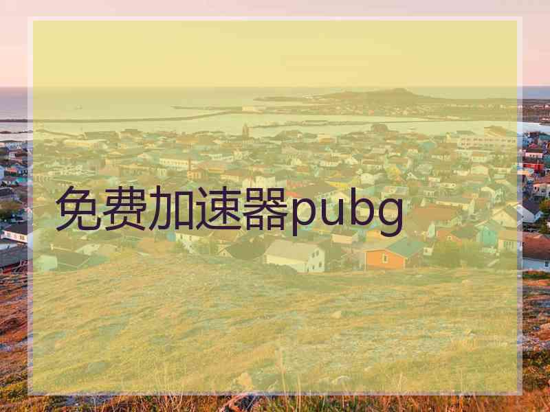 免费加速器pubg