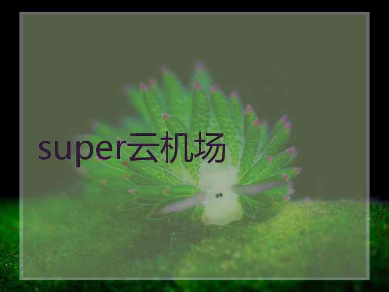 super云机场