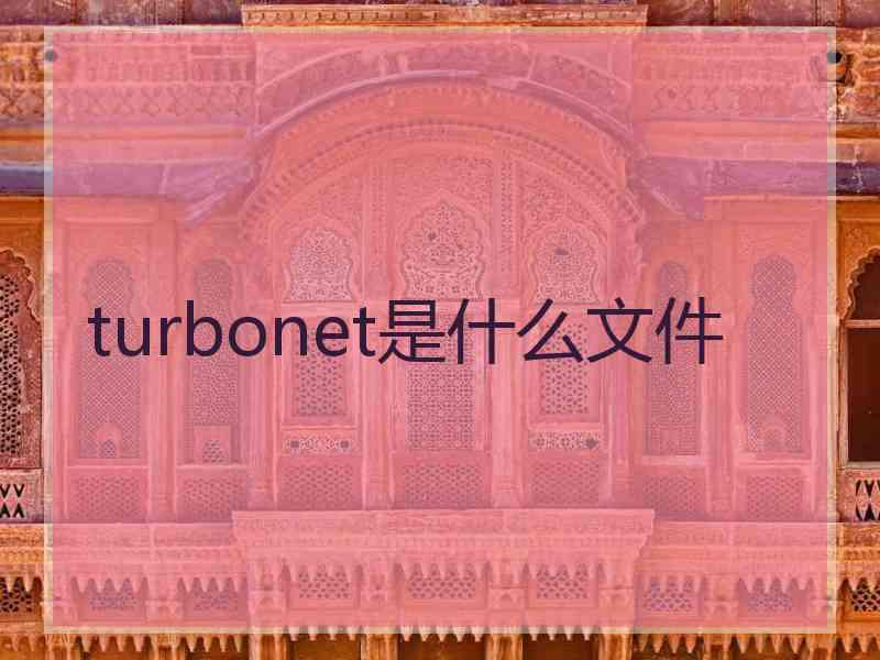 turbonet是什么文件