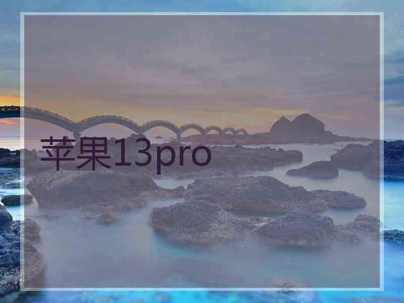 苹果13pro