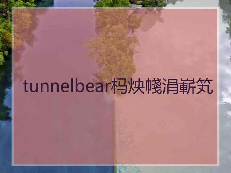 tunnelbear杩炴帴涓嶄笂