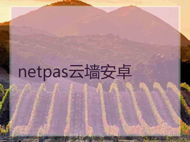 netpas云墙安卓