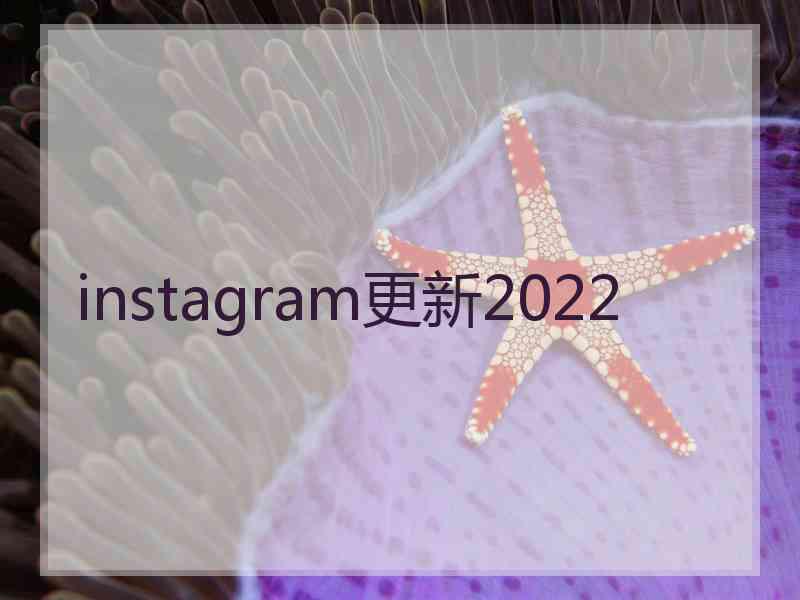 instagram更新2022