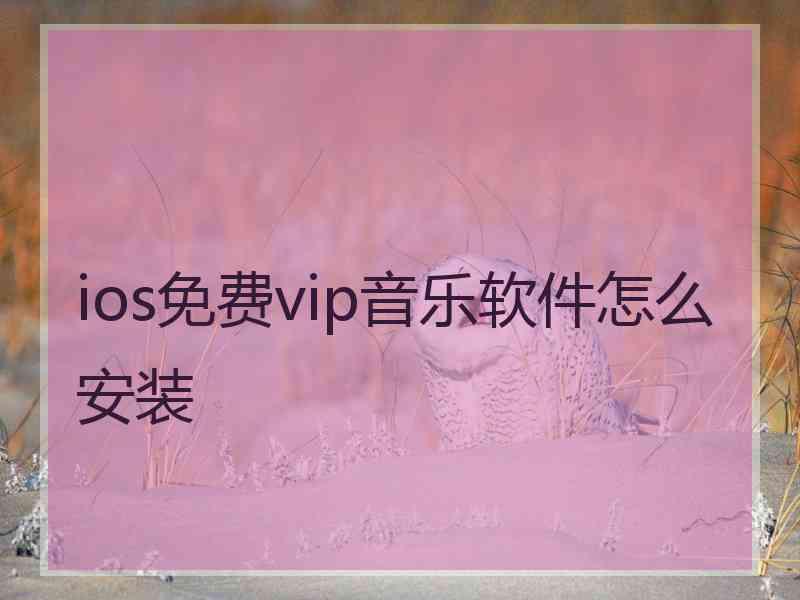 ios免费vip音乐软件怎么安装