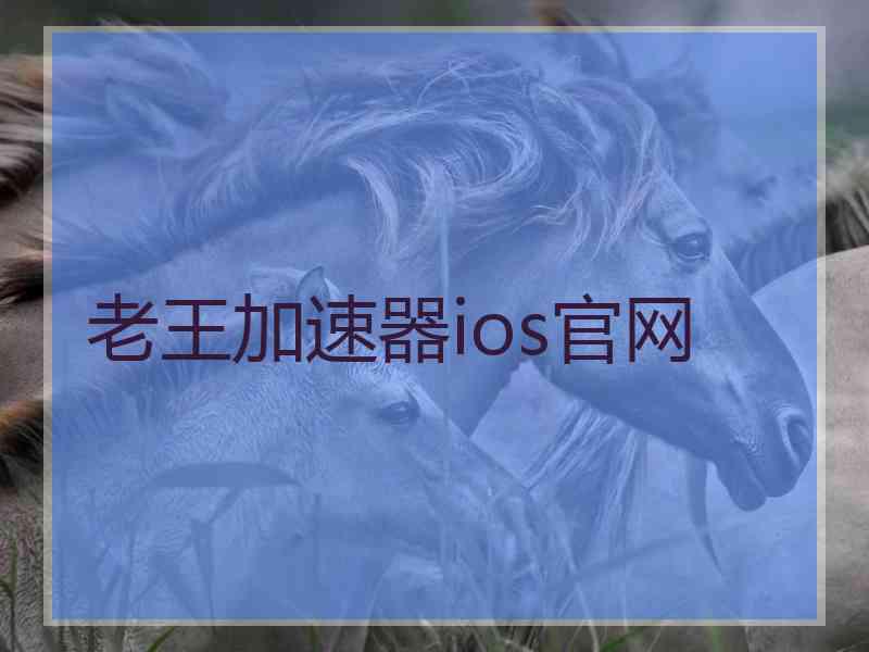 老王加速器ios官网