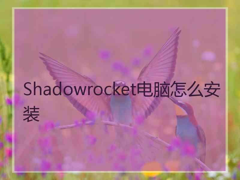 Shadowrocket电脑怎么安装