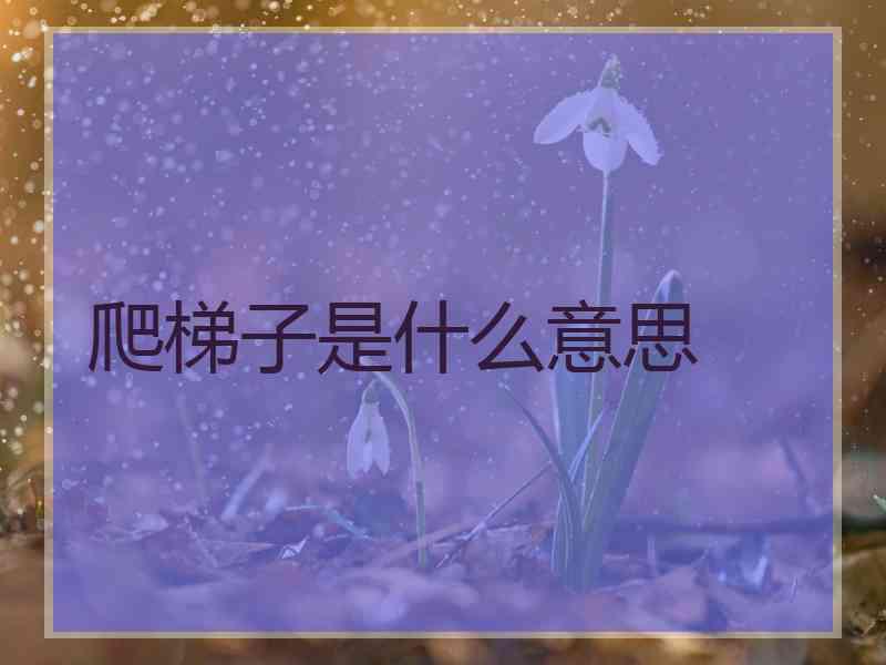 爬梯子是什么意思