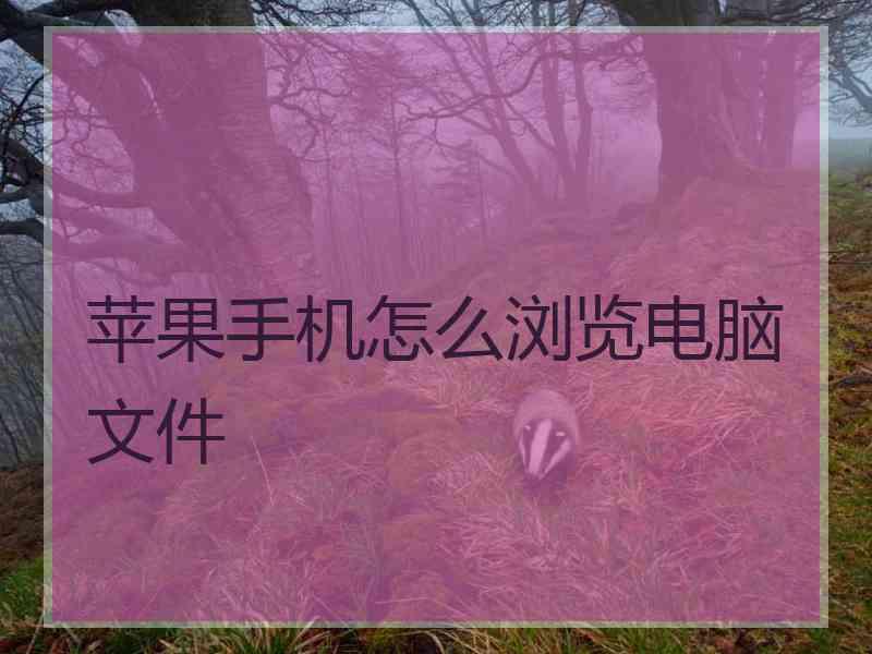 苹果手机怎么浏览电脑文件