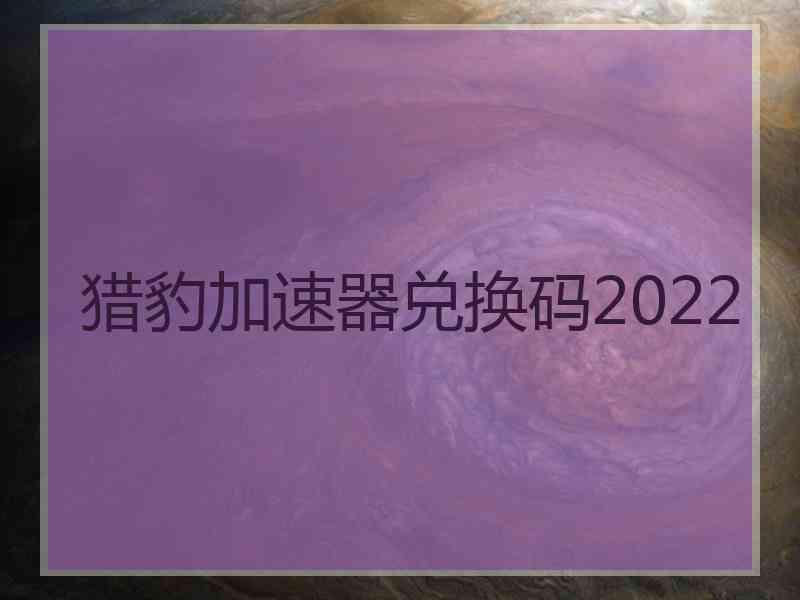 猎豹加速器兑换码2022