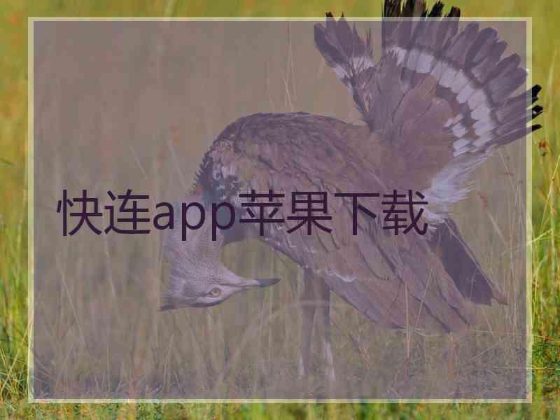 快连app苹果下载