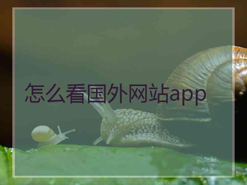 怎么看国外网站app