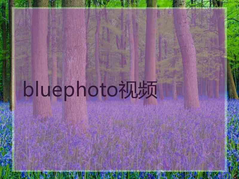 bluephoto视频