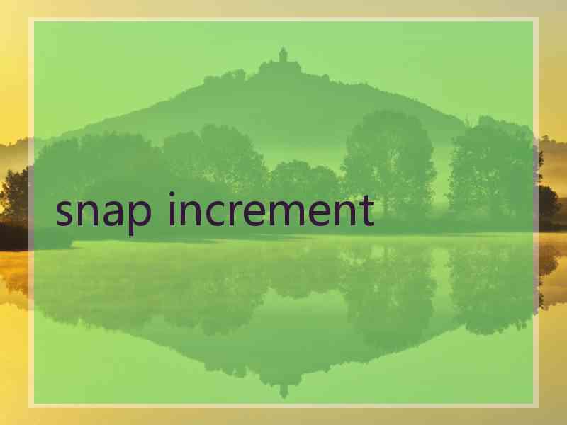 snap increment