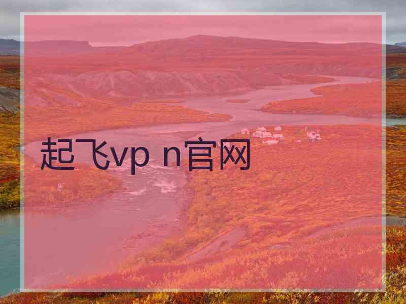 起飞vp n官网