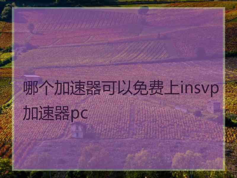 哪个加速器可以免费上insvp加速器pc