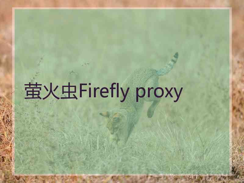 萤火虫Firefly proxy