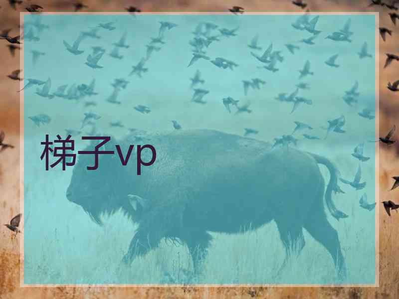 梯子vp